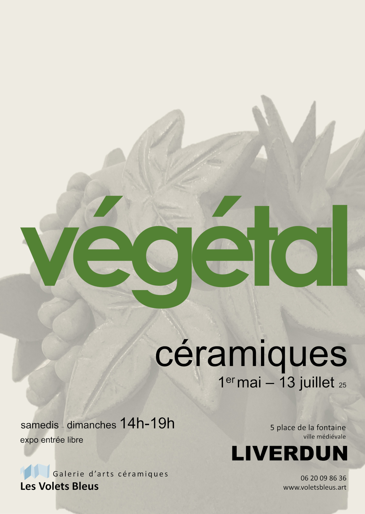 Image actuelle